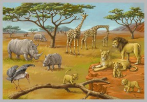 Afrika