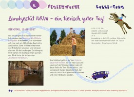 Lollipop Ferienprogramm