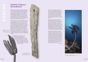 Bildband, LWL Naturkundemuseum: Verschwundene Welten (Gestaltung & Satz)